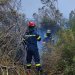 Ρέθυμνο: Πυρκαγιά στις Καρίνες