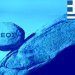 ΠΡΟΒΛΕΠΕΙ ΜΕΙΩΣΗ ΤΟΥ  ΕΛΛΗΝΙΚΟΥ ΧΡΕΟΥΣ ΜΕ ΤΟΝ ΠΛΗΘΩΡΙΣΜΟ ΣΤΑ ΥΨΗ – FANTOMAS.GR