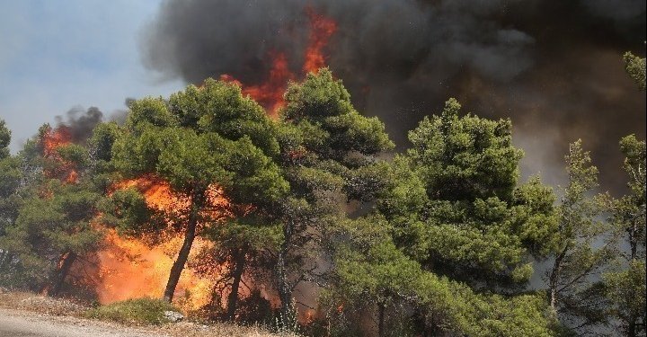 Συλλήψεις για τις φωτιές σε όλη τη χώρα: Ανάμεσά τους ο δήμαρχος, ο αντιδήμαρχος Πάρου, και ένας δημοτικός υπάλληλος