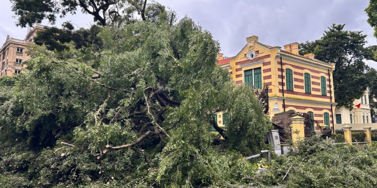 Βιετνάμ: Τουλάχιστον 24 νεκρούς άφησε πίσω του ο τυφώνας Γιάγκι