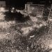 2 στους 3 πολίτες αξιολογούν θετικά τις κυβερνήσεις του Α. Παπανδρέου