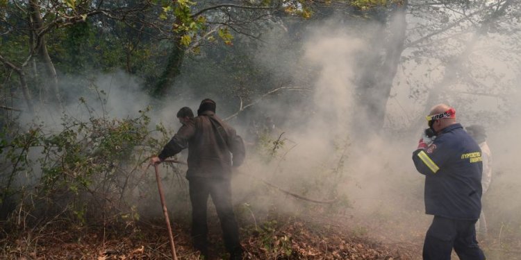 Δασική πυρκαγιά στο Κεφαλοχώρι Σερρών