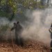 Δασική πυρκαγιά στο Κεφαλοχώρι Σερρών