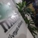 ΠΑΣΟΚ: Ανεξέλεγκτο το οργανωμένο έγκλημα