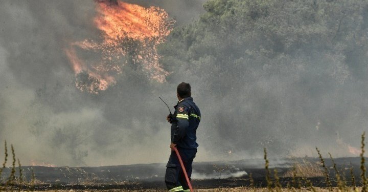 Θεσσαλονίκη: Πυρκαγιά σε δασική περιοχή του Φιλύρου – Μήνυμα από το 112