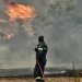 Θεσσαλονίκη: Πυρκαγιά σε δασική περιοχή του Φιλύρου – Μήνυμα από το 112 Θεσσαλονίκη: Πυρκαγιά σε δασική περιοχή του Φιλύρου – Μήνυμα από το 112