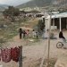 ΡΟΜΑ – ΣΤΟΥΡΘΟΚΑΜΗΛΙΖΟΥΝ ΤΑ ΠΟΛΙΤΙΚΑ ΚΟΜΜΑΤΑ
