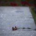 Ξεκινούν την Παρασκευή οι τριήμερες εκδηλώσεις για την 51η επέτειο του Πολυτεχνείου