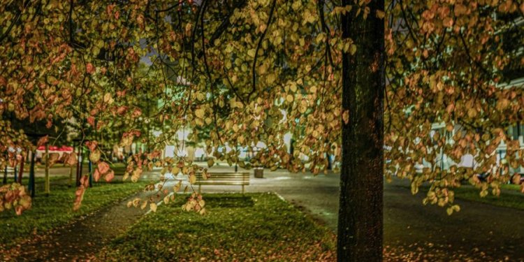 “Berlin eins, zwei, drei”: Έκθεση του Σπύρου Λαζάρου στην αίθουσα τέχνης artworx