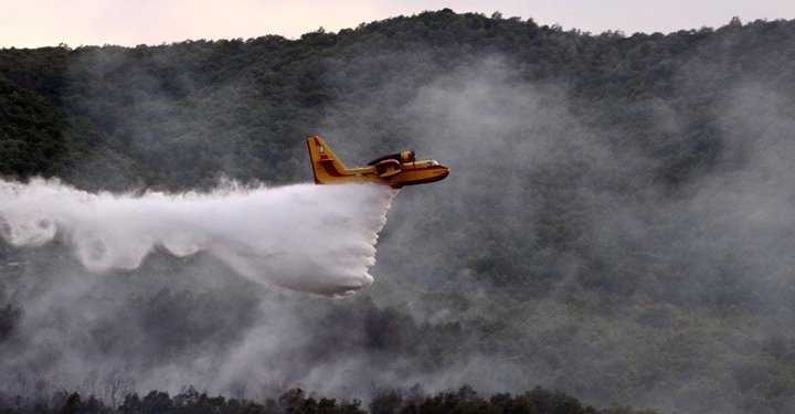 Φωτιά σε δασική έκταση στο Γαρδίκι Θεσπρωτίας