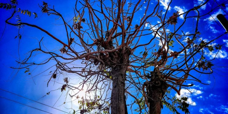 Αίθριος καιρός και μικρή άνοδος της θερμοκρασίας
