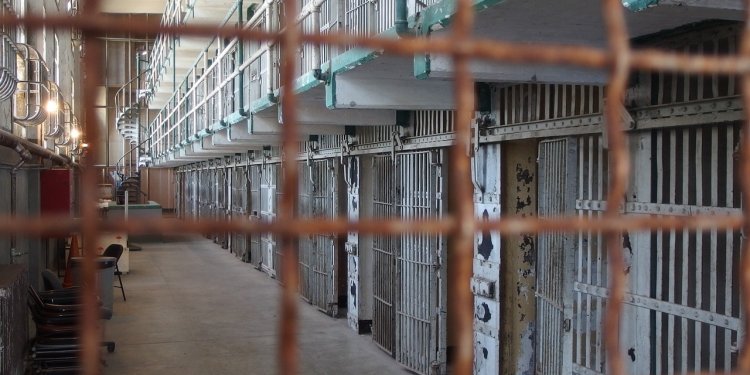 Προφυλάκιση για έναν από τους 8 οπαδούς του ΠΑΟ για εγκληματική οργάνωση – Απολογούνται αύριο οι 2 φερόμενοι ως αρχηγοί Προφυλάκιση για έναν από τους 8 οπαδούς του ΠΑΟ για εγκληματική οργάνωση – Απολογούνται αύριο οι 2 φερόμενοι ως αρχηγοί