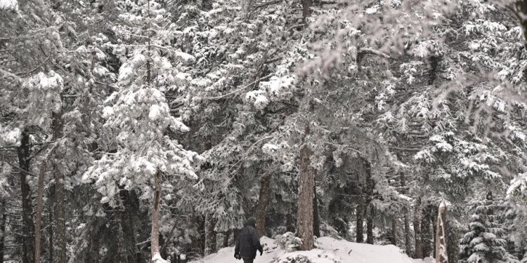 Σήμερα η πιο κρύα μέρα της κακοκαιρίας Coral – Χαμηλές θερμοκρασίες και χιόνια στα ημιορεινά