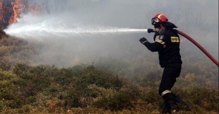Πυρκαγιά σε αγροτοδασική έκταση στο Νεοχώρι Αργολίδας Πυρκαγιά σε αγροτοδασική έκταση στο Νεοχώρι Αργολίδας