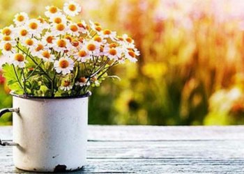 Ζώδια: Δευτέρα 17 Μαρτίου