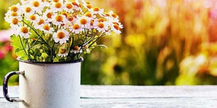 Ζώδια: Δευτέρα 17 Μαρτίου Ζώδια: Δευτέρα 17 Μαρτίου