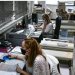 ΡΙΖΙΚΕΣ ΑΛΛΑΓΕΣ ΜΕ ΤΟΝ  ΦΠΑ ΑΝΑ ΜΗΝΑ ΣΤΙΣ ΝΕΕΣ ΕΠΙΧΕΙΡΗΣΕΙΣ