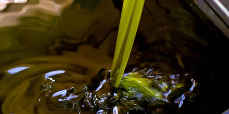 Θεσσαλονίκη: Πουλούσαν ηλιέλαιο ως «εξαιρετικά παρθένο ελαιόλαδο» – Πέντε συλλήψεις