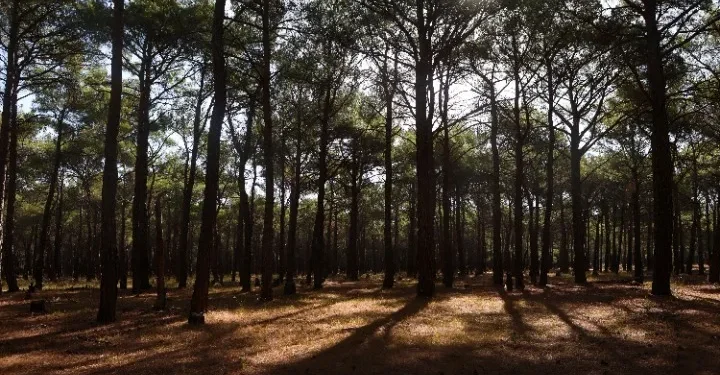 Νέος, σύγχρονος «οδικός χάρτης» βιώσιμης ανάπτυξης και προστασίας του περιβάλλοντος για την Πελοπόννησο Νέος, σύγχρονος «οδικός χάρτης» βιώσιμης ανάπτυξης και προστασίας του περιβάλλοντος για την Πελοπόννησο