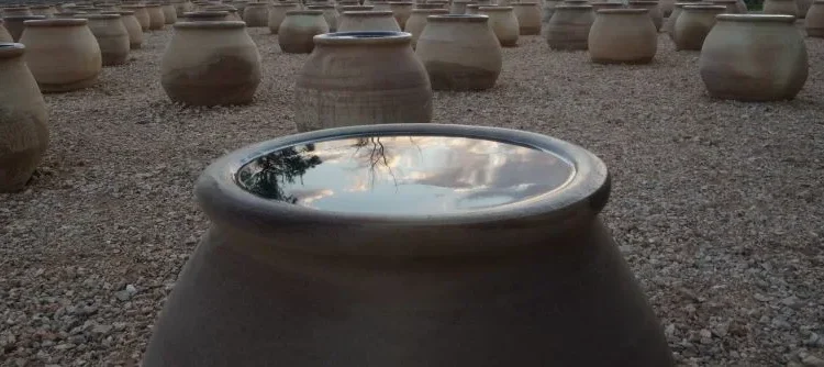 Ίδρυμα Γ. & Α. Μαμιδάκη: Στην «Ενάρετη Σπείρα» της Δανάης Στράτου το Βραβείο Τέχνης 2025