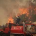 Σε ύφεση η φωτιά – Σύλληψη 28χρονου και πρόστιμο – FANTOMAS.GR