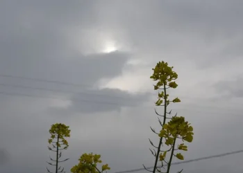 Άστατος ο καιρός σήμερα – Η πρόγνωση για το Σαββατοκύριακο