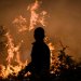 Μεγάλη φωτιά στις Σέρρες – Μήνυμα του 112 στους κατοίκους