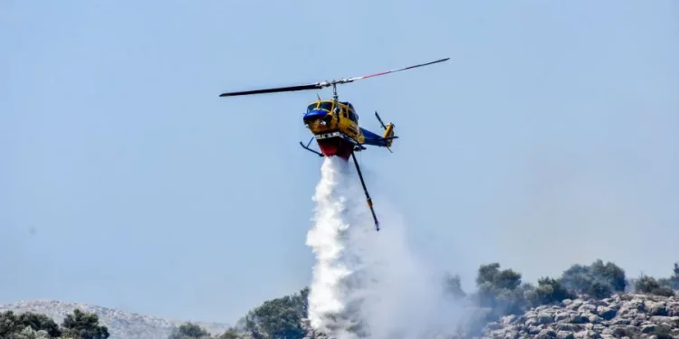 Πυρκαγιά σε χορτολιβαδική έκταση στον Ελεώνα Θήβας