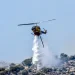 Πυρκαγιά σε χορτολιβαδική έκταση στον Ελεώνα Θήβας
