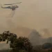 Φωτιά σε γεωργική έκταση στο Αχλάδι Φθιώτιδας – Ήχησε το 112