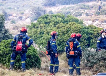 Μεγάλες οι καταστροφές στην ευρύτερη περιοχή του Φενεού από την φωτιά λέει ο δήμαρχος Σικυωνίων