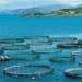 RADAR – Κατακραυγή στο ΠΑΣΟΚ για τις Υδατοκαλλιέργειες, πονοκέφαλος για Ανδρουλάκη