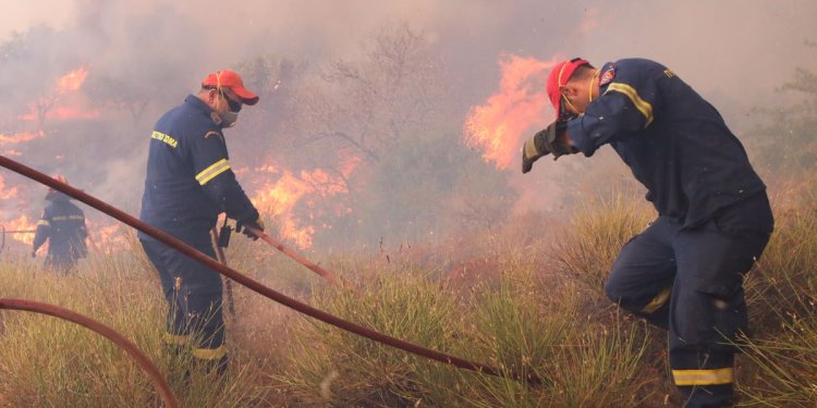 Λασίθι: Φωτιά σε χαμηλή βλάστηση – Ισχυρή κινητοποίηση της πυροσβεστικής