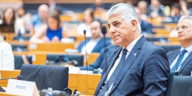 Η ΚΕΔΕ στο Ευρωπαϊκό Κοινοβούλιο: Παρέμβαση για τη Νησιωτικότητα από τον Γενικό Γραμματέα Δημήτρη Καφαντάρη