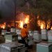 Από αδήλωτα μελίσσια ξεκίνησε η φωτιά στον Υμηττό – Πρόστιμο στους δύο παραβάτες αλλά και στον πρύτανη του ΕΚΠΑ