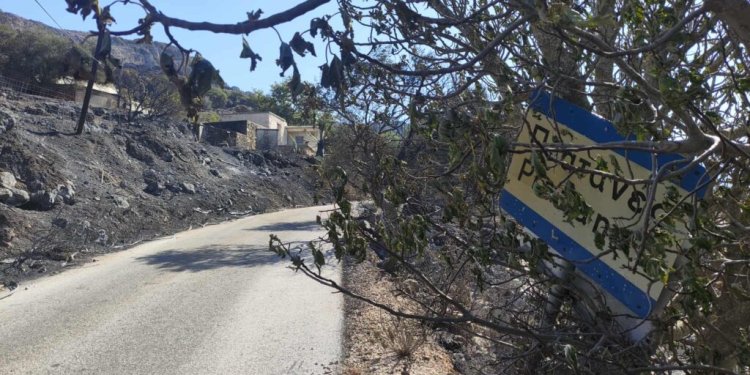 Κρανίου τόπος το Σέλινο Χανίων: Αποκαρδιωτικές εικόνες μετά τη φωτιά – Καμμένα ζώα, χωράφια και σπίτια