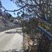 Κρανίου τόπος το Σέλινο Χανίων: Αποκαρδιωτικές εικόνες μετά τη φωτιά – Καμμένα ζώα, χωράφια και σπίτια