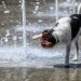 Πολύ υψηλές θερμοκρασίες έως και την Τετάρτη – Διυπουργική-συντονιστική σύσκεψη στην Πολιτική Προστασία