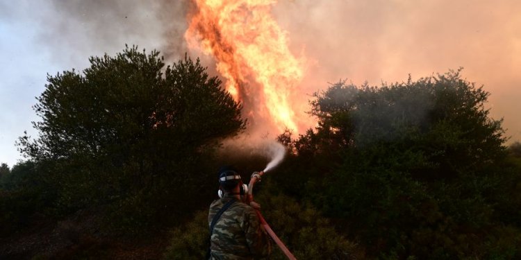  Φωτιά σε δασική έκταση στη Ροδόπη – Δεν απειλούνται κατοικημένες περιοχές