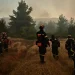Πυρκαγιά στην περιοχή του Αγίου Αθανασίου στο Καλλίθηρο Καρδίτσας – FANTOMAS.GR