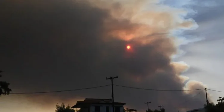 Αναζωπύρωση της πυρκαγιάς στον Φενεό