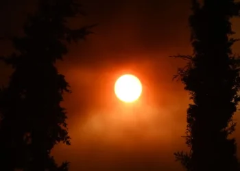 Σε ύφεση η πυρκαγιά στον Φενεό Κορινθίας – Εκκενώθηκαν χωριά, ζημιές σε σπίτια και καλλιέργειες – Δύο συλλήψεις