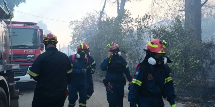 Οριοθετημένη η πυρκαγιά σε αγροτοδασική έκταση στον Ορχομενό Βοιωτίας