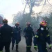 Οριοθετημένη η πυρκαγιά σε αγροτοδασική έκταση στον Ορχομενό Βοιωτίας
