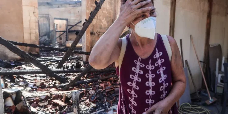 Κρυονέρι: Η επόμενη ημέρα μετά το σαρωτικό πέρασμα της πυρκαγιάς