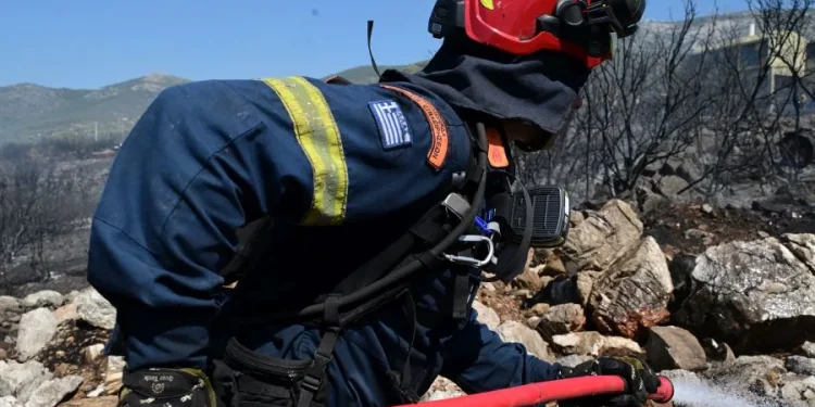 Φωτιά σε χαμηλή βλάστηση το απόγευμα της Κυριακής (31/08) στην περιοχή Νέα Νικόπολη Κοζάνης Φωτιά σε χαμηλή βλάστηση το απόγευμα της Κυριακής (31/08) στην περιοχή Νέα Νικόπολη Κοζάνης