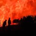 Τεράστια καταστροφή από την φωτιά στον Ωρωπό