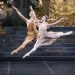 Ballet Stars Gala: Οι κορυφαίοι χορευτές του κόσμου έρχονται στο Ηρώδειο