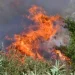 Σε εξέλιξη πυρκαγιά σε δασική έκταση στην Αρχαία Ολυμπία – Μήνυμα από το 112