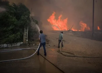 Όταν καίγονται 800.000 στρέμματα στην Ελλάδα, κάποιος πρέπει να αναλάβει την ευθύνη  